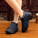 Imagen de diapositiva